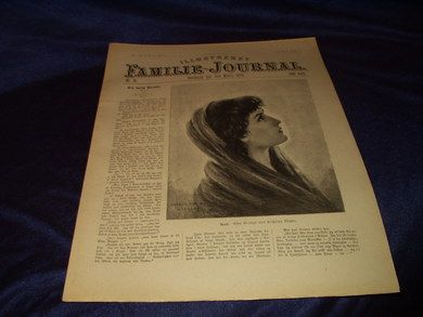 1895 nr 013 Illustrert Familie - Journal
