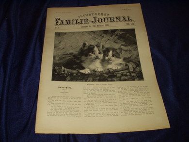 1896 nr 046 Illustreret Familie Journal