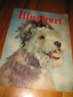 1955 nr 047 Illustrert