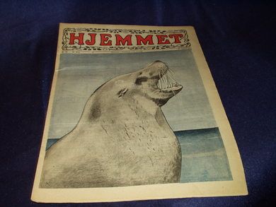 1921 nr 034 HJEMMET
