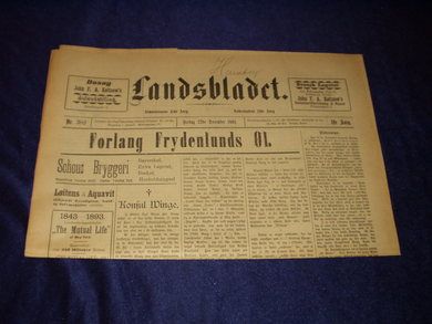 1893 nr 302 Landsbladet