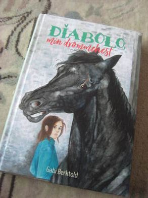 DIABLO MIN DRØMMEHEST 2020