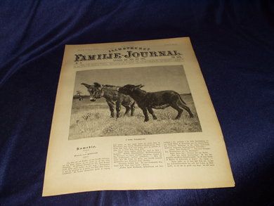 1893 nr 031 Illustrert Familie - Journal