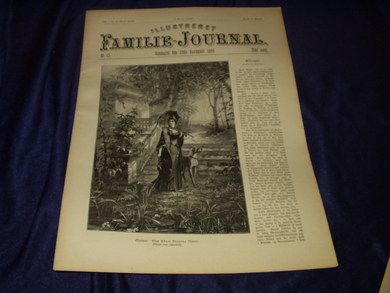 1896 nr 047 Illustreret Familie Journal