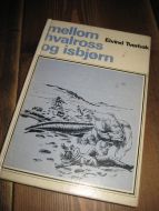 Tverbak: mellom hvalross og isbjørn. 1969.