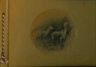 Strøken album fra Norøna Albumfabrik Oslo