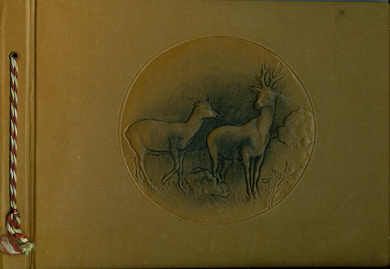 Strøken album fra Norøna Albumfabrik Oslo