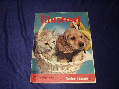 1961 nr 017 Illustrert