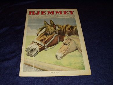1923 nr 031 HJEMMET
