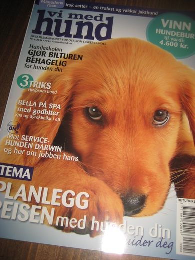 2014 NR 004 vi med HUND