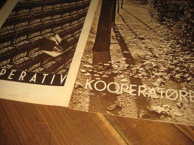 1938 nr 020 KOOPERATØREN