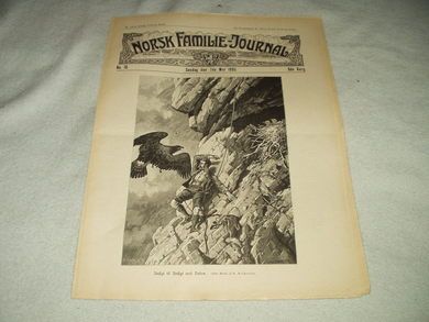 1905 nr 019 NORSK FAMILIE JOURNAL