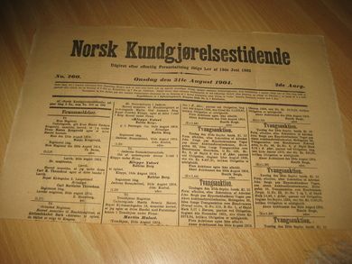 1904 nr 260 Norsk Kundgjørelsestidende
