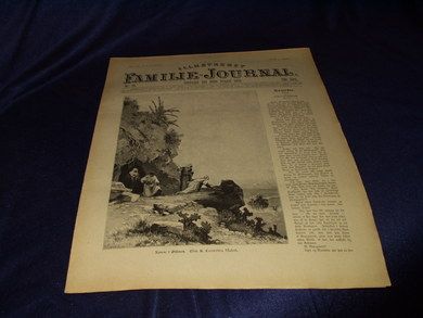 1893 nr 034 Illustrert Familie - Journal
