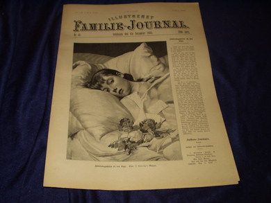 1896 nr 049 Illustreret Familie Journal