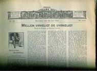 1906 nr 029 MELLEM VIRKELIGT OG UVIRKELIGT