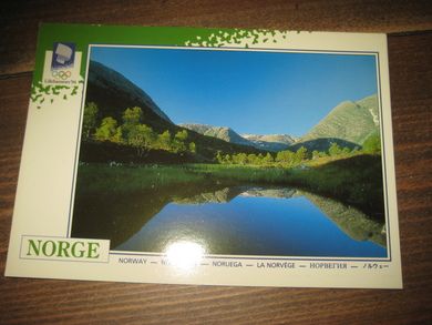 014 LOOC 1991 Jostedalen