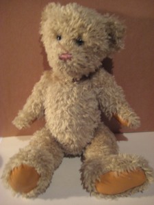 Teddybjørn