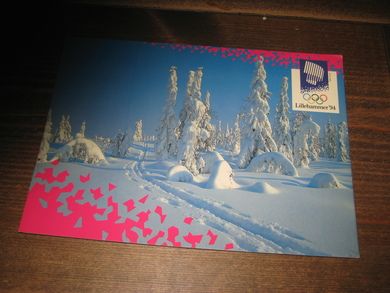 509 LOOC 1991 Snow trac Sjusjøen