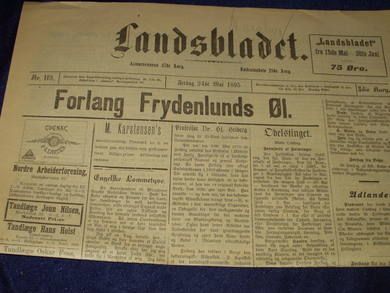 1895 nr 119 Landsbladet