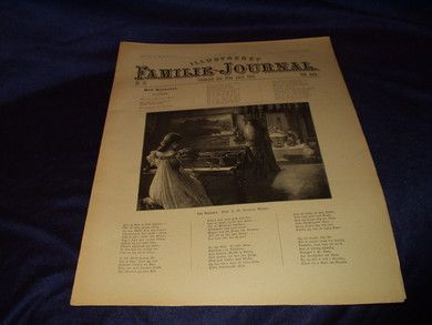 1895 nr 017 Illustrert Familie - Journal
