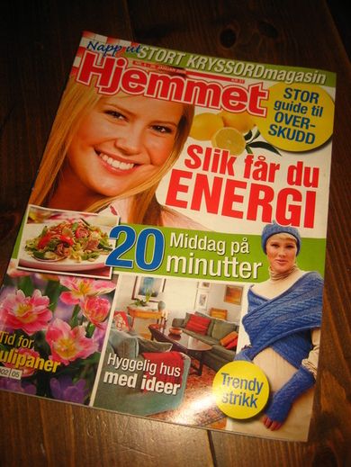 2008 nr 005 Hjemmet