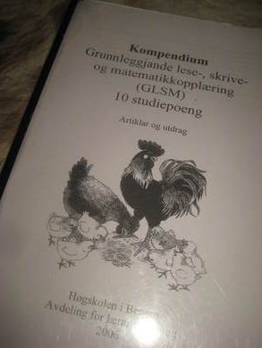 KOMPENDIUM GRUNNLEGGANDE LESE- SKRIVE- OG MATEMATIKKOPPLÆRING 2006