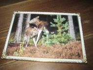 Pent bilde i glass og ramme Ca 18*13 cm stort