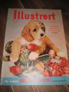 1960 nr 048 Illustrert