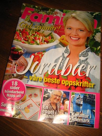 2010 nr 013 Familien