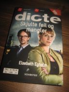 Egholm: dicte Skjulte feil og mangler 2014