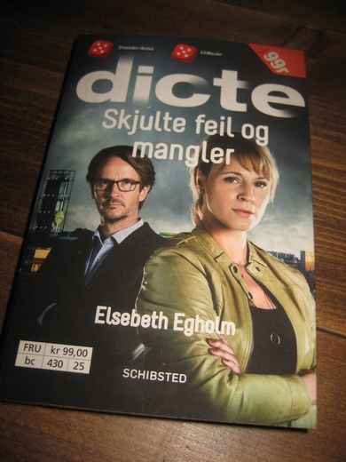Egholm: dicte Skjulte feil og mangler 2014