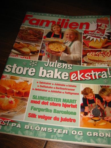 2005 nr 025 Familien