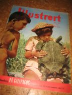 1960 nr 032 Illustrert