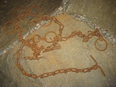 Festeredskap for dyr i bås? Tidelg 1900