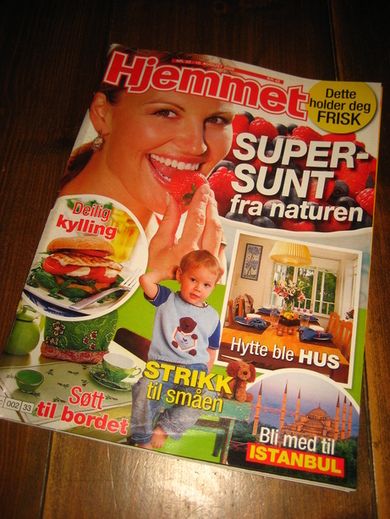 2009 nr 033 Hjemmet