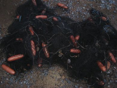 Til utsmykking av sjøbu etc Eldre not / garn med flytekork og rødbrun stein Her er nok over 30 m2 vil eg tru