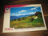 049 LOOC 1991 Telemark