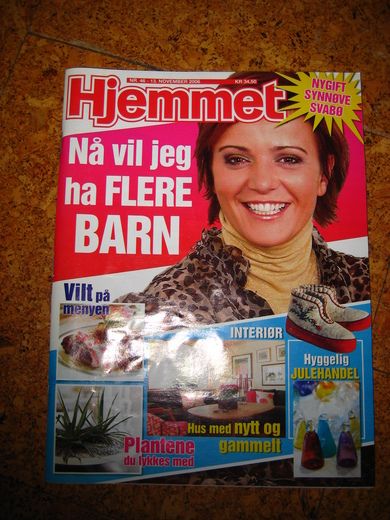 2006 nr 046 Hjemmet