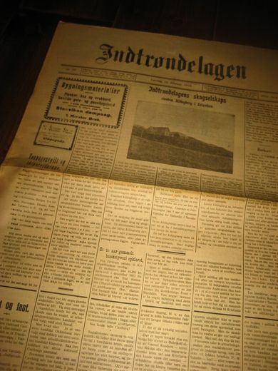 1916 nr 029 Indtrøndelagen