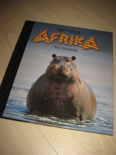 Schandy: DET VILLE AFRIKA. 2002. 