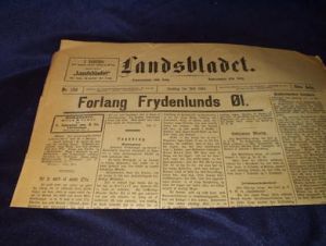1894,nr 153, Landsbladet