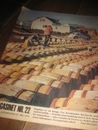 1972 nr 022 A MAGASINET