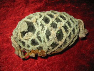 Oval kavlkule tidleg 1900