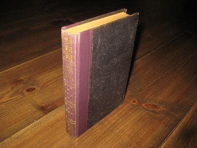 DOSTOJEWSKY: NIHILISTER. 