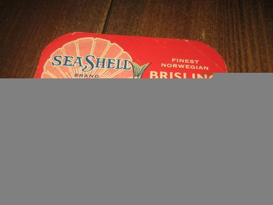 SEA SHELL rød