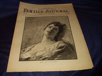 1893 nr 038 Illustrert Familie - Journal