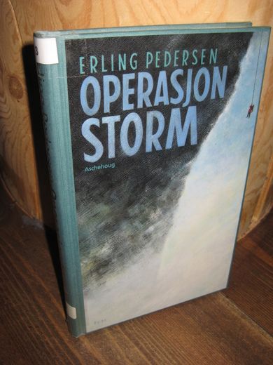 PEDERSEN ERLING: OPERASJON STORM 1994