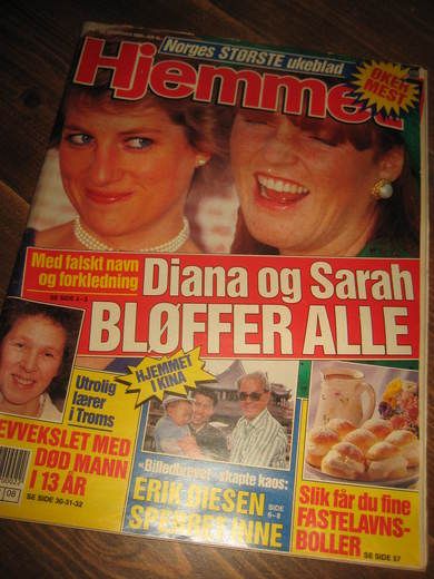 1990 nr 008 Hjemmet diana