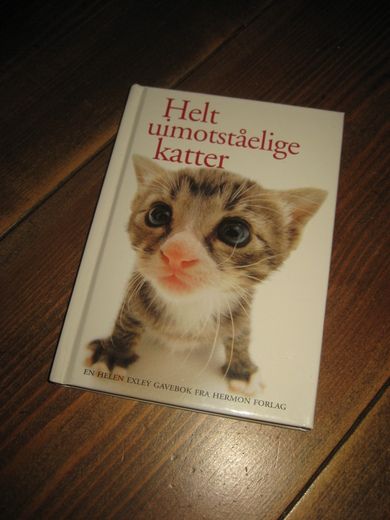 Helt uimotstålige katter 2005